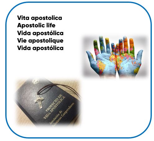 [:it]Progetto di vita apostolica[:en] Project of Apostolic Life[:fr]Projet de Vie Apostolique[:es]Proyecto de Vida Apostólica[:pt]Projeto de Vida Apostólica[:]